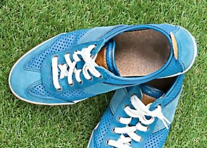 fashion-trendy-blue-sneaker-grass-field_1357-194